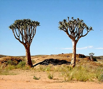 Namib Naukluft Park